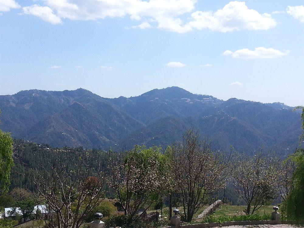 Royal Jardin Whistling Pines Resort Shimla Ngoại thất bức ảnh