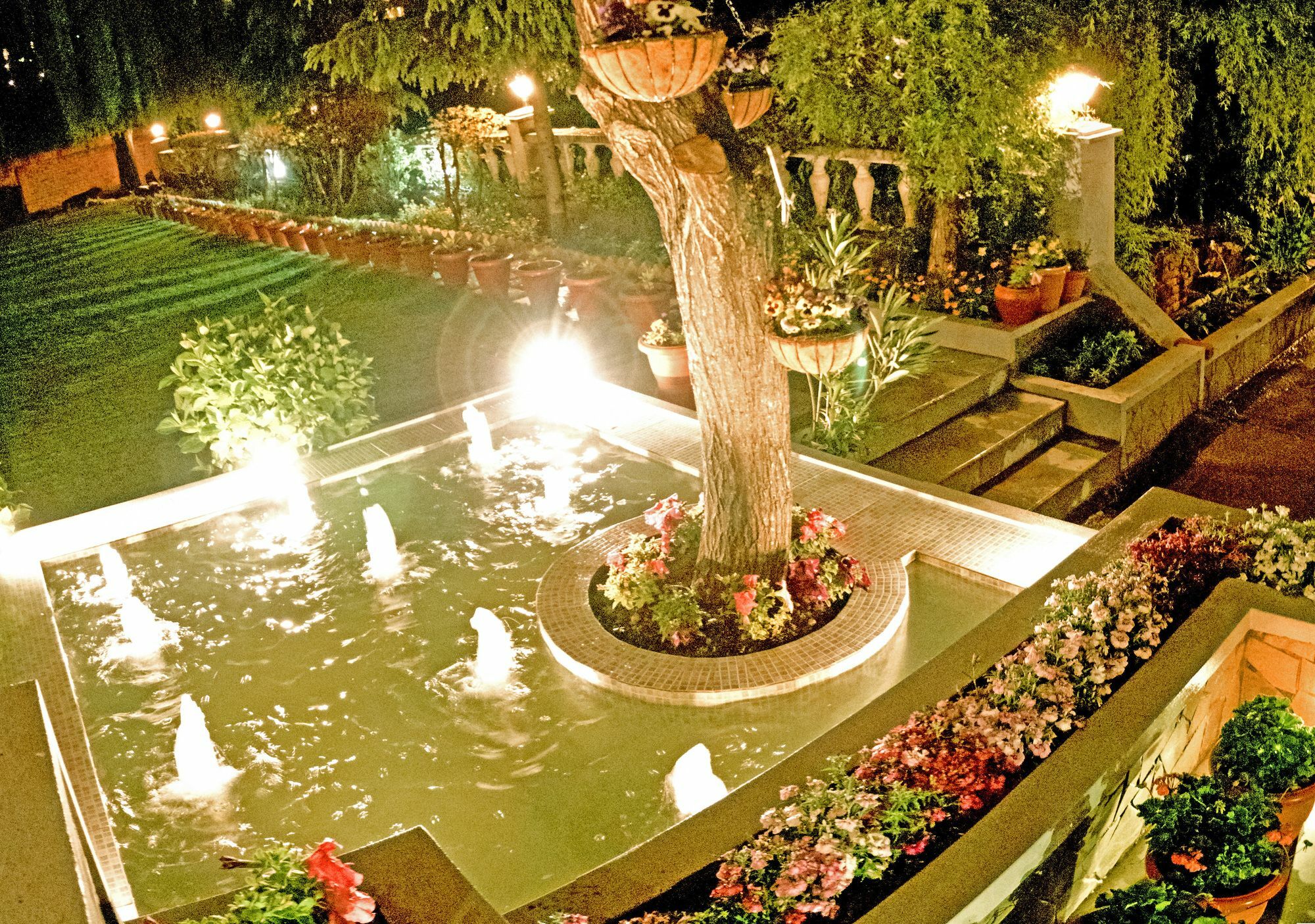 Royal Jardin Whistling Pines Resort Shimla Ngoại thất bức ảnh